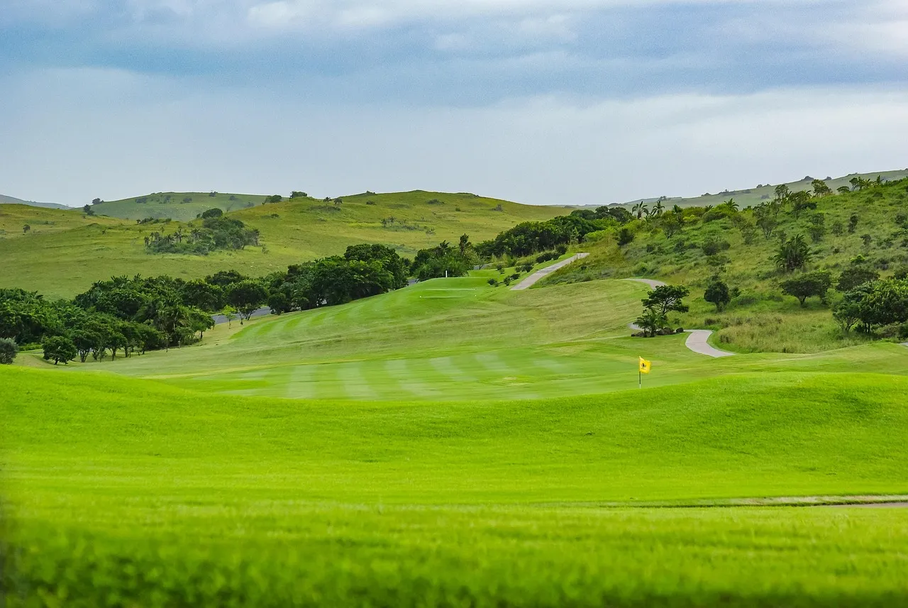 Escapada en San Roque, golf y estancia
