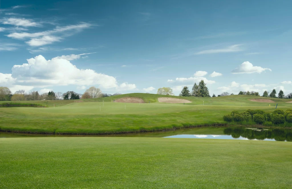 Old vs New course, diferencias entre ambos campos