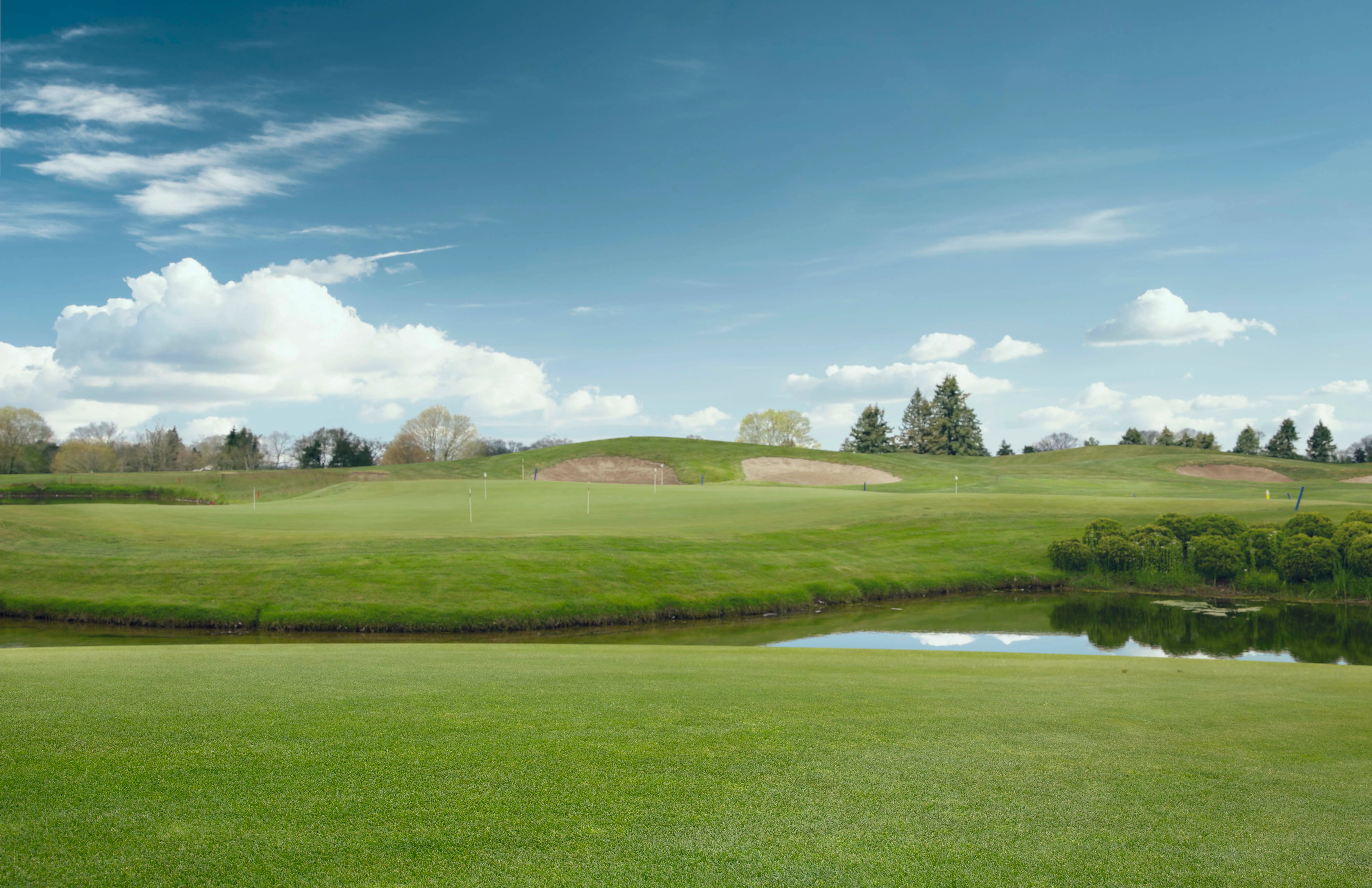 Old vs New course, diferencias entre ambos campos