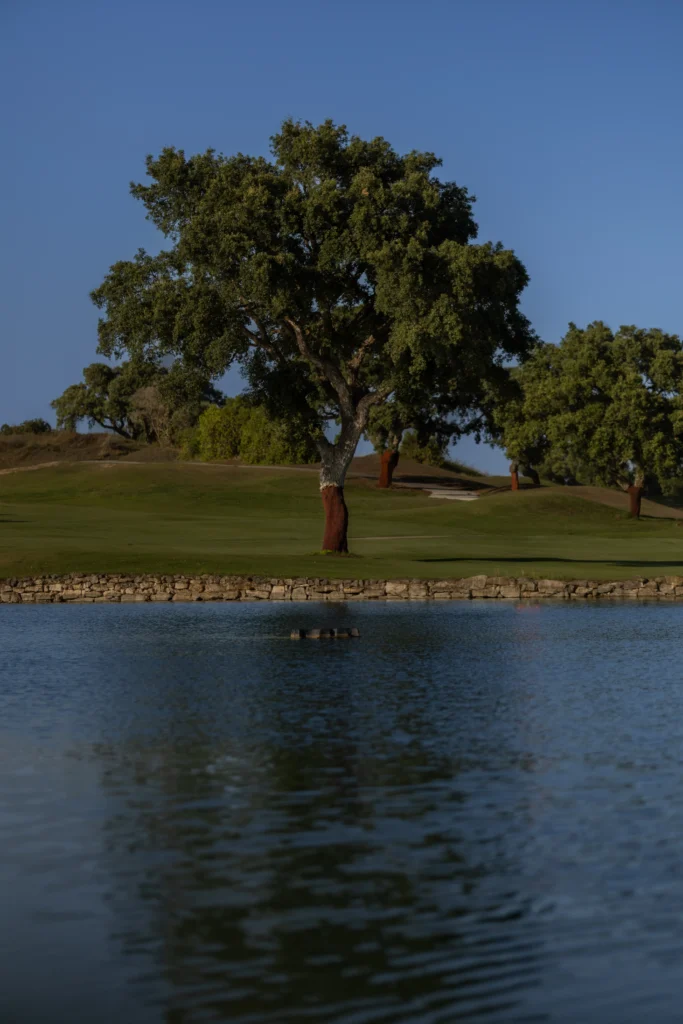 Historia en cada hoyo, rendimiento internacional en San Roque Golf
