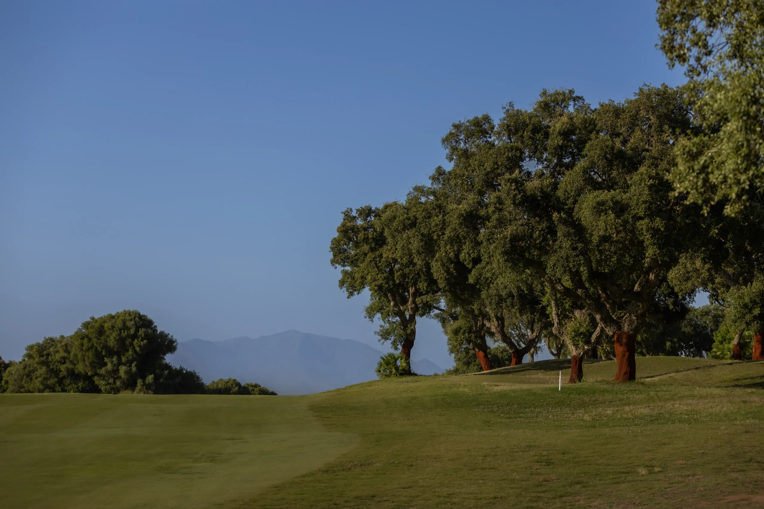 New Course San Roque Golf & Resort