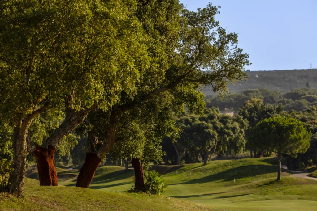 New Course San Roque Golf & Resort