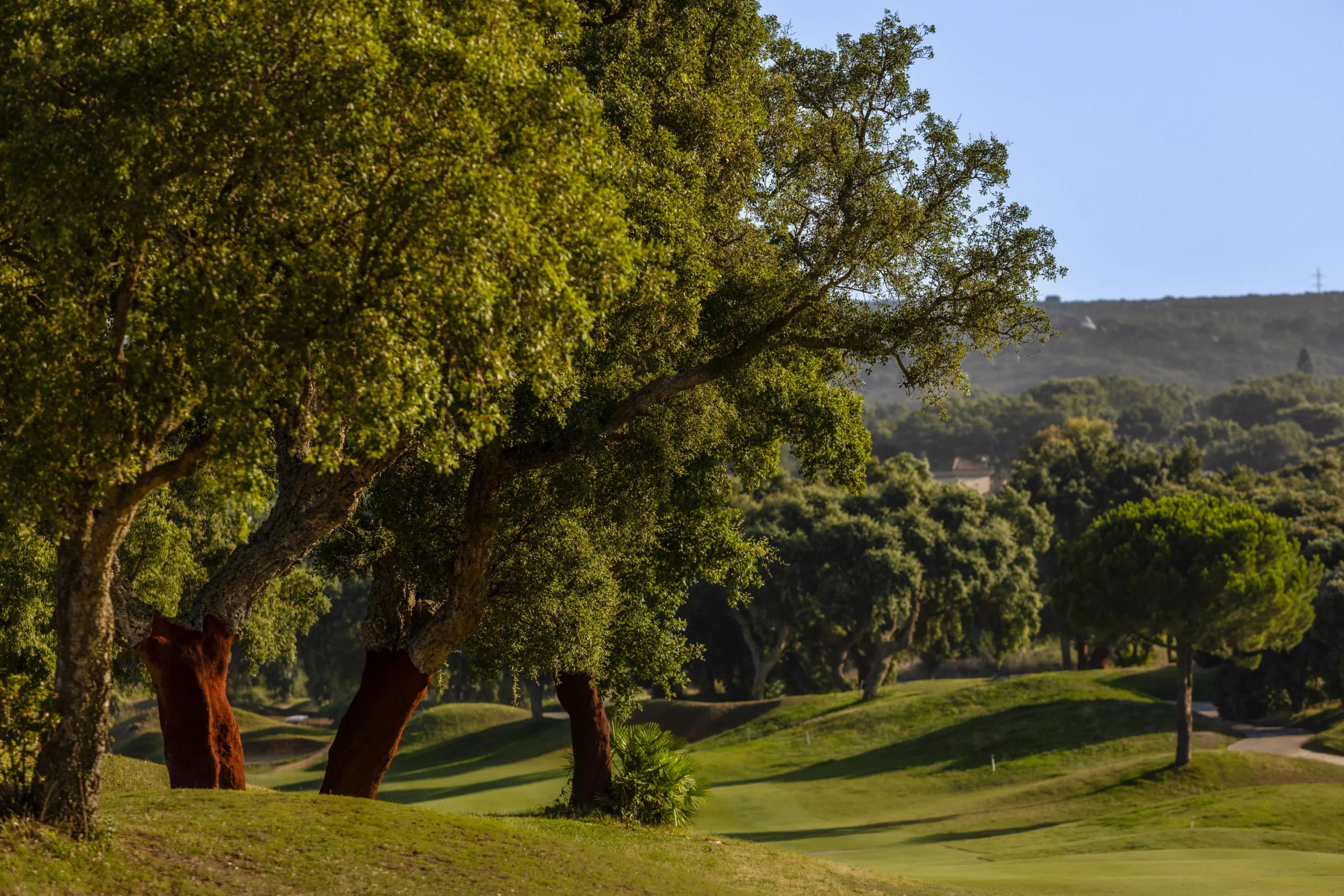 New Course San Roque Golf & Resort