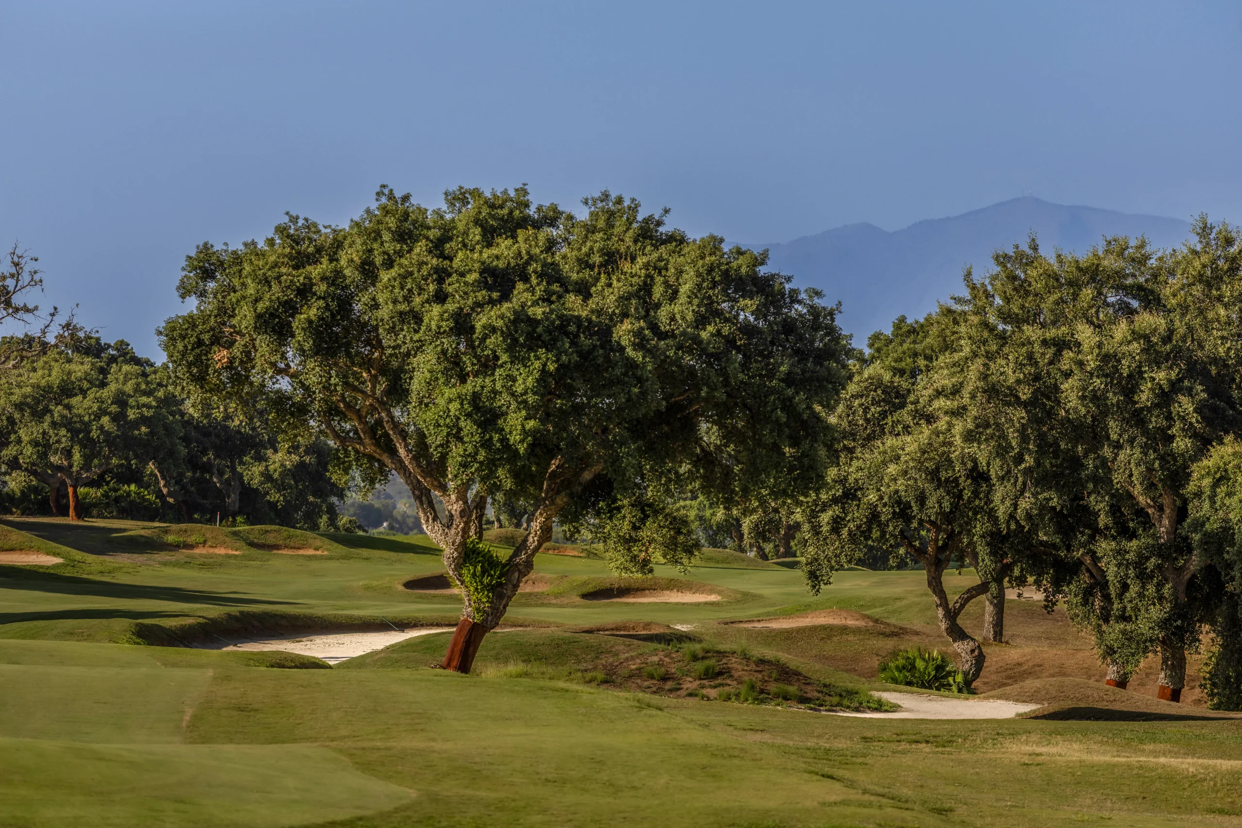 San Roque Golf, historia y tradición en San Roque