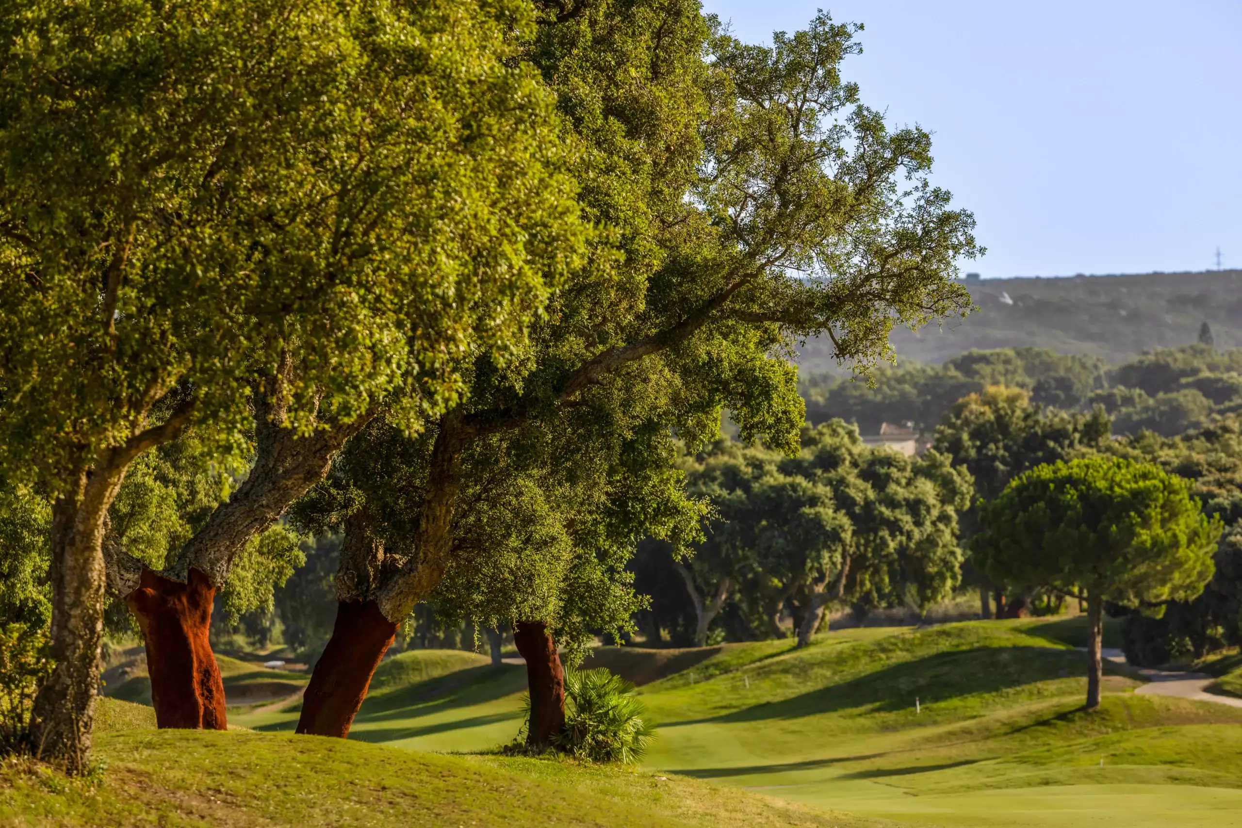San Roque Golf, historia y tradición en San Roque