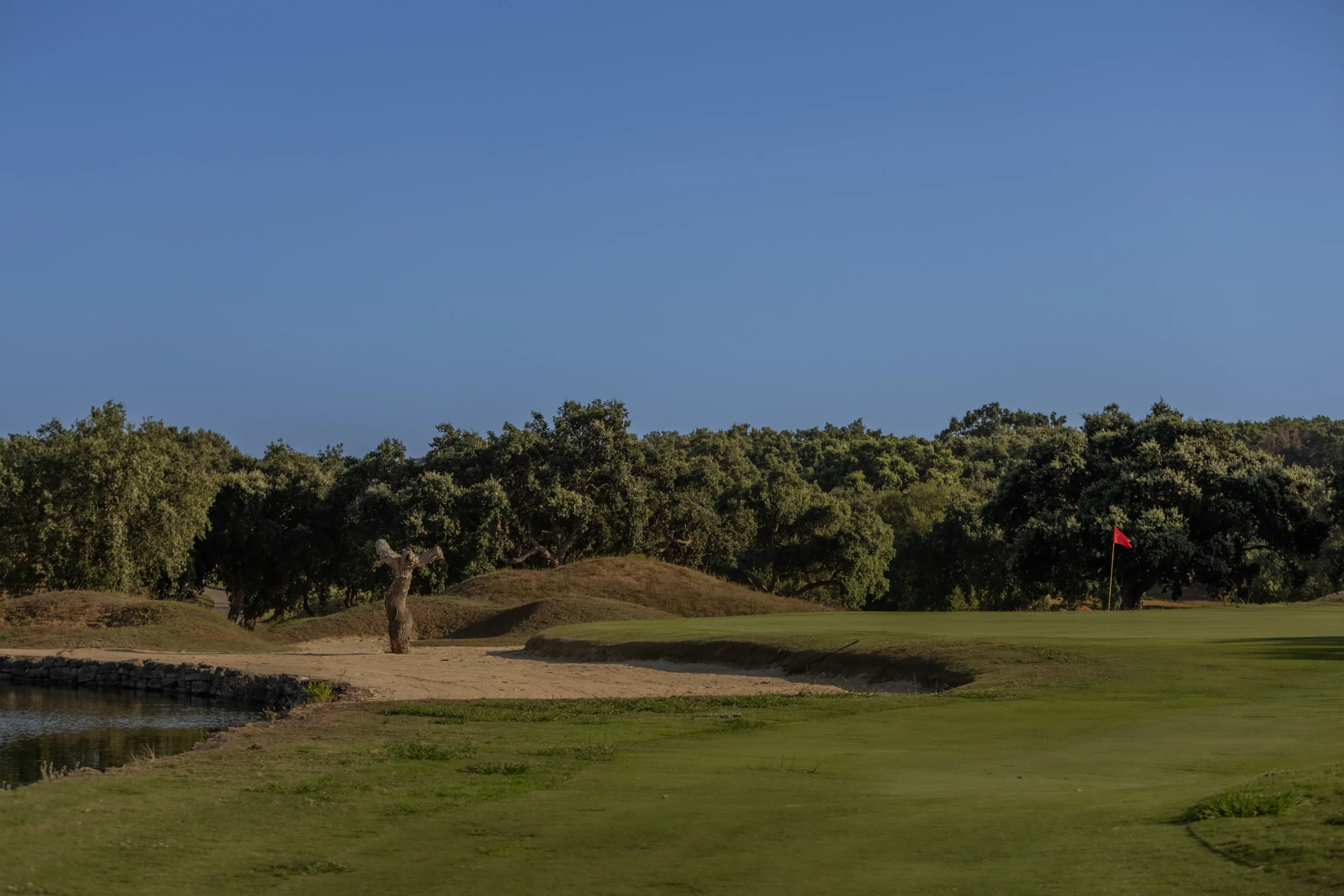 San Roque Golf, historia y tradición en San Roque