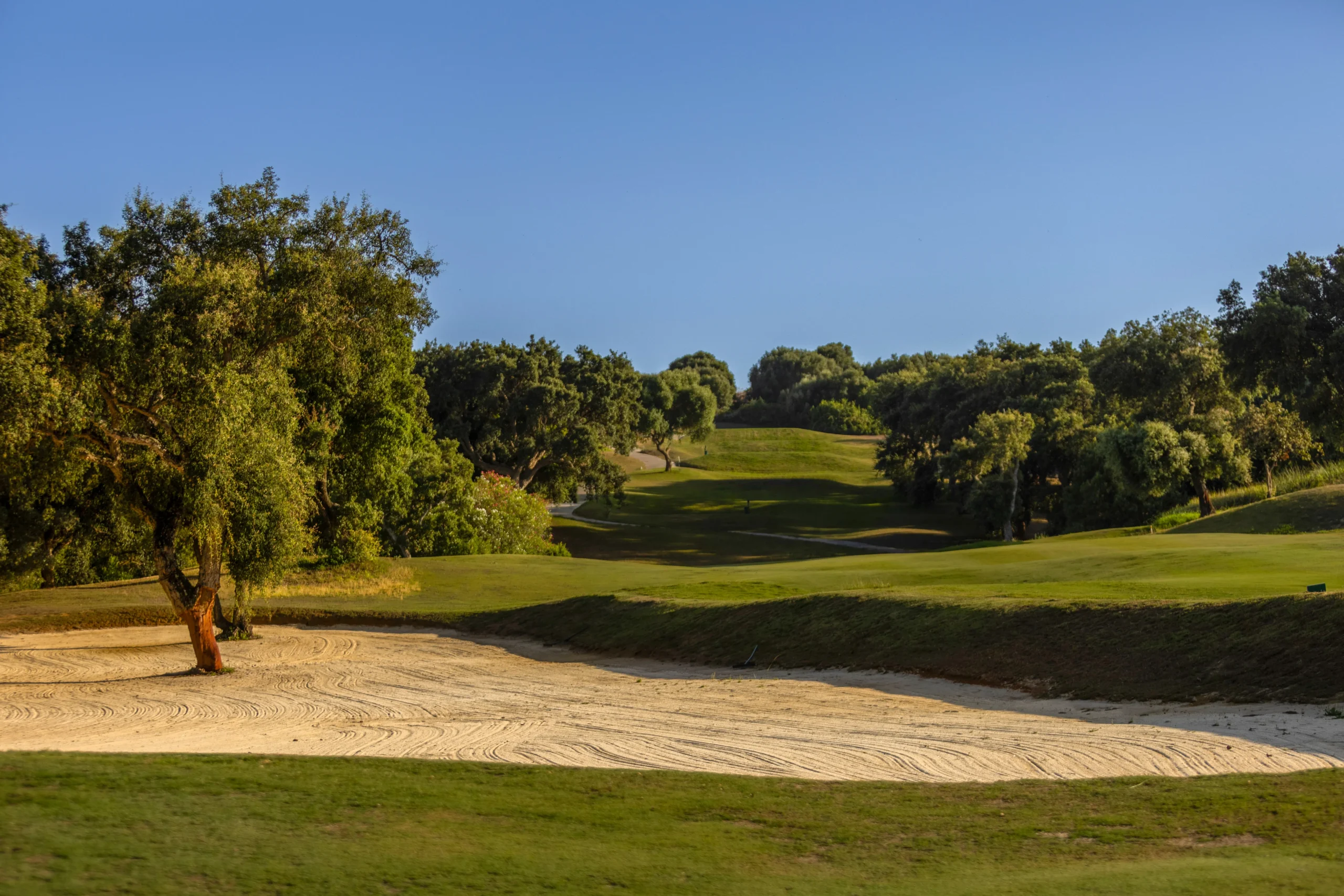 La esencia del golf andaluz, San Roque golf