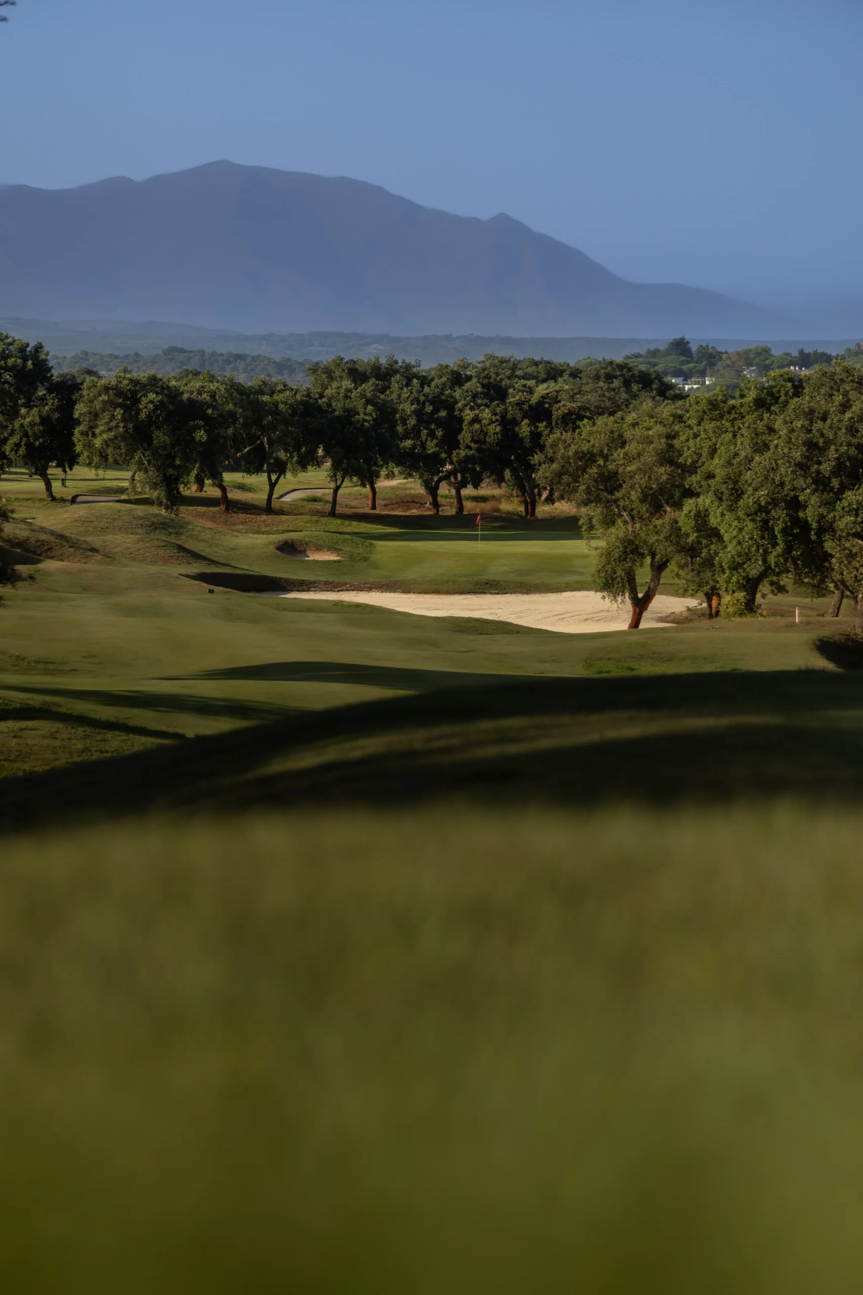 La esencia del golf andaluz, San Roque golf