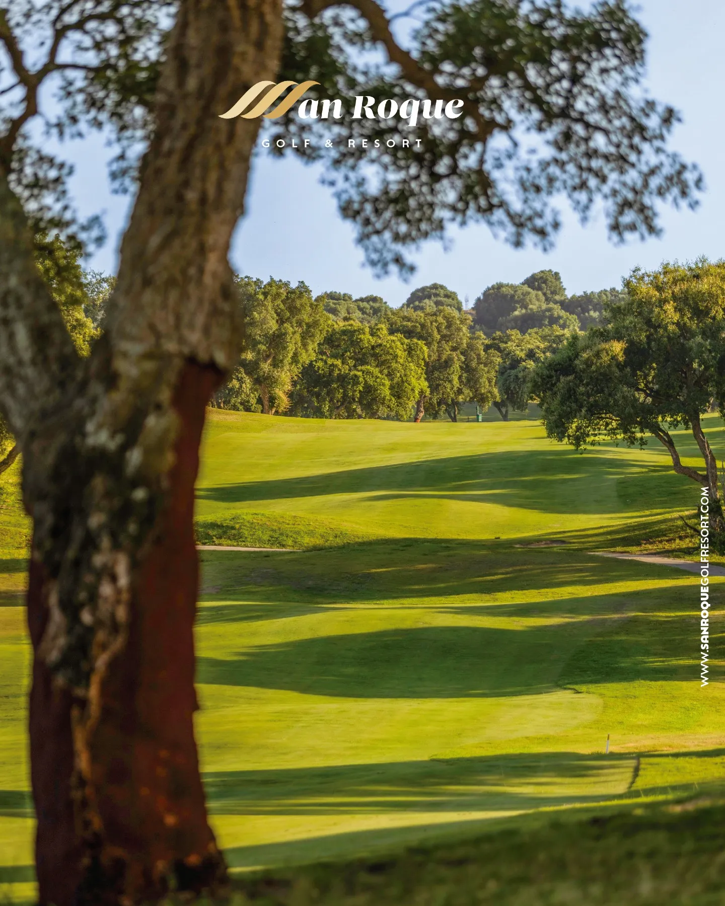 Golf con amigos en San Roque Golf & Resort: calle ondulada entre alcornoques centenarios con el green al fondo bajo la luz de la mañana
