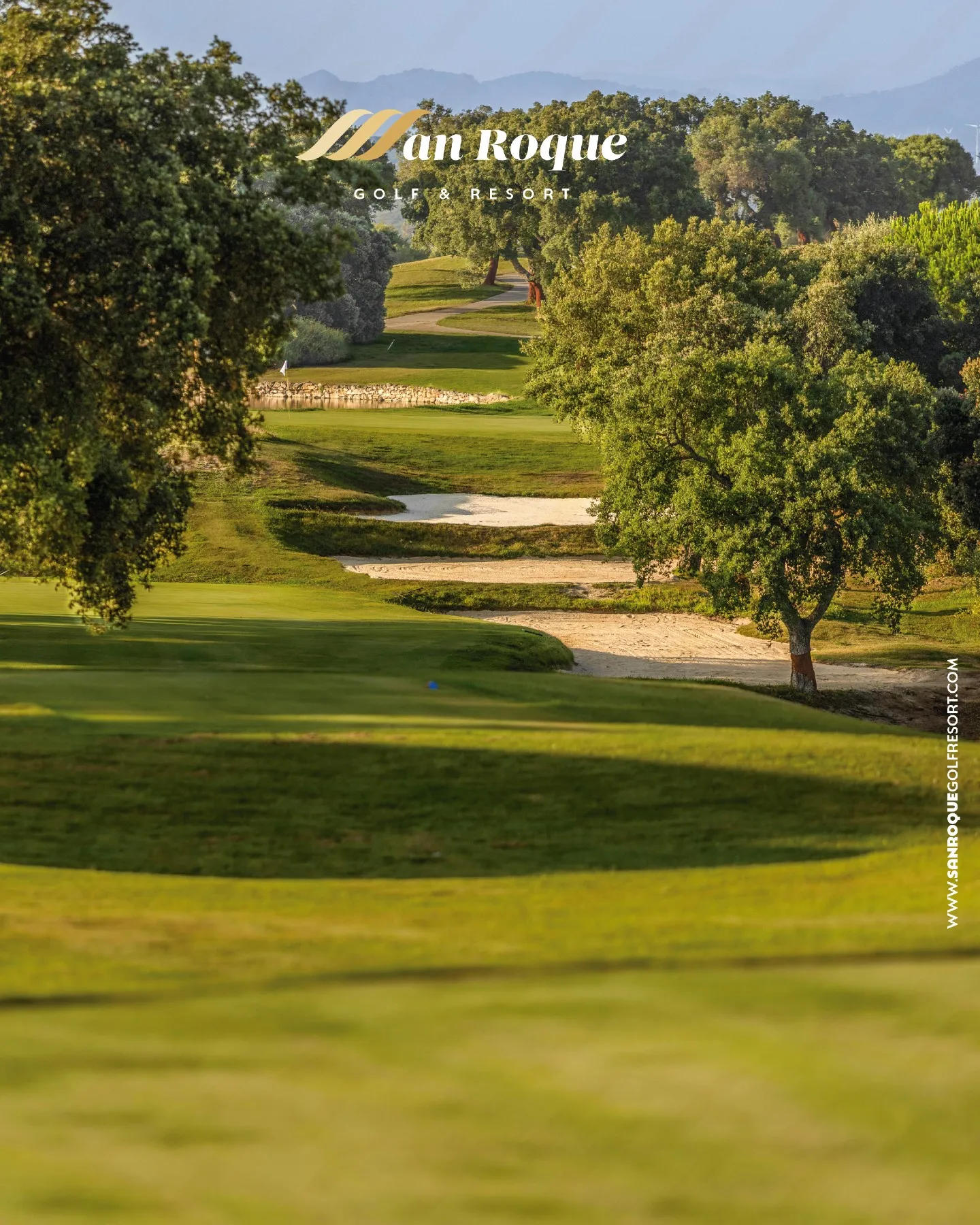 Calle flanqueada por alcornoques y grandes zonas de arena: golf entre alcornoques en el recorrido de San Roque