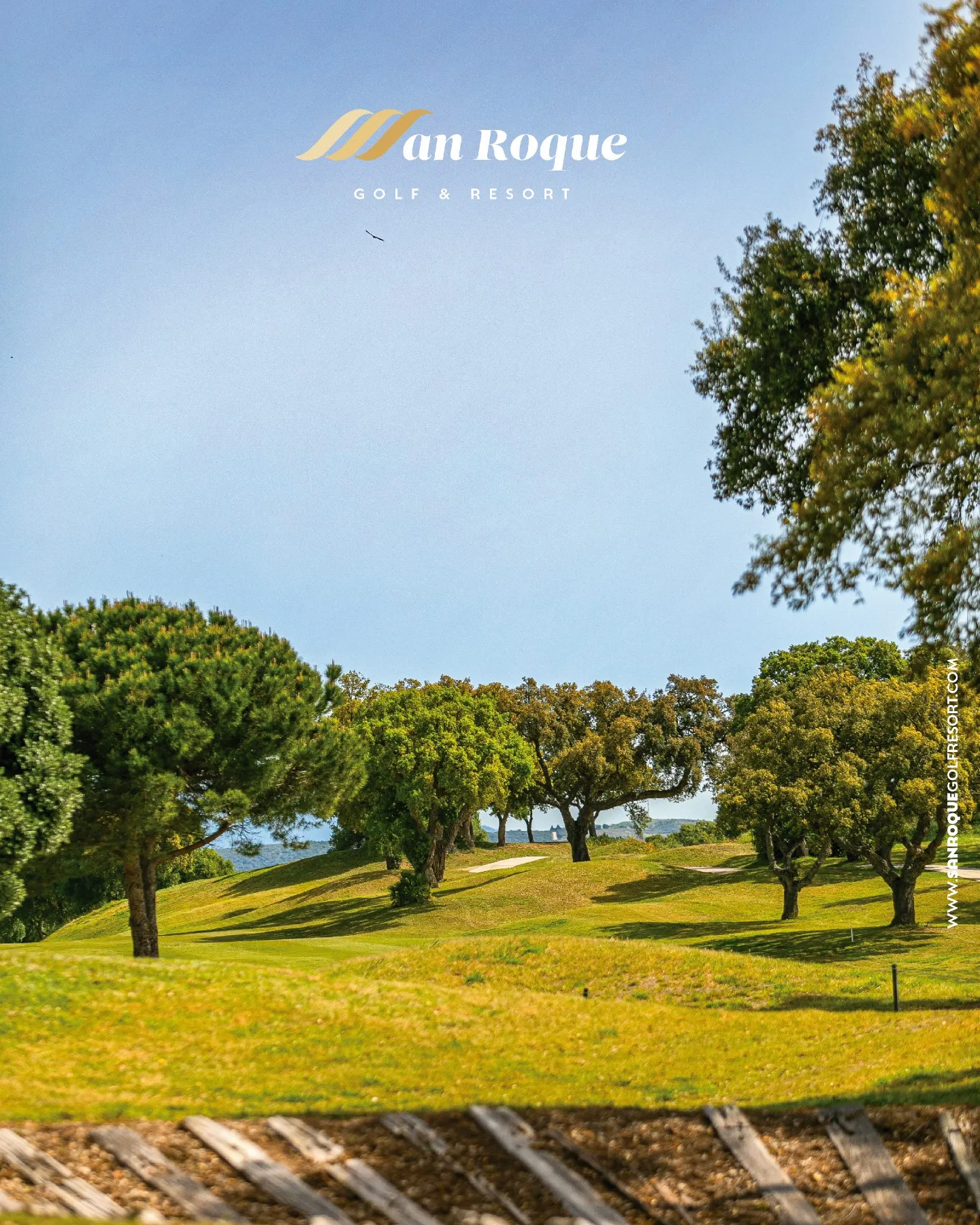 Recorrido de golf en agosto entre alcornoques y pinos en San Roque Golf & Resort