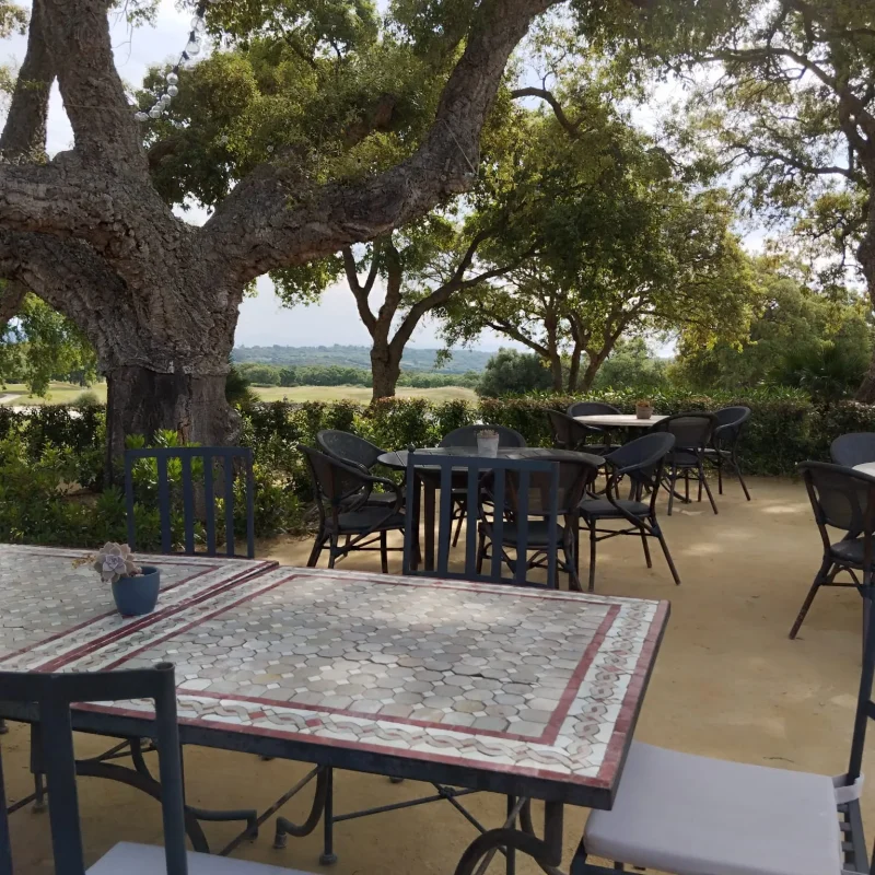 San Roque Golf & Resort - Golf Course Sotogrande Spain - Campo de Golf en San Roque 151